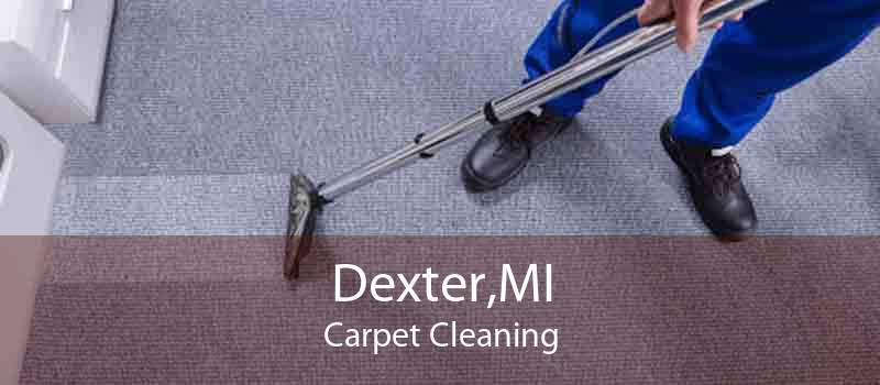 Dexter,MI Carpet Cleaning
