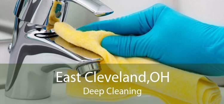 East Cleveland,OH Deep Cleaning
