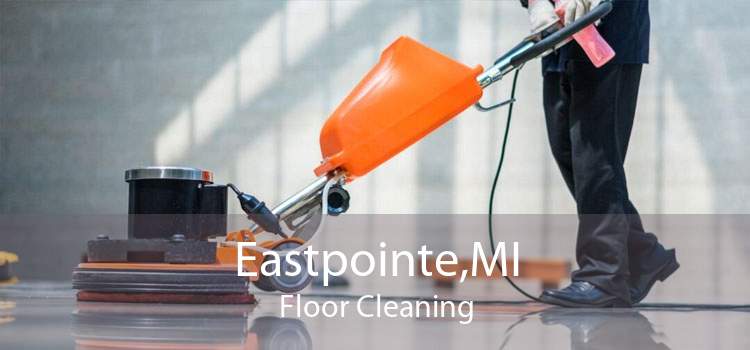 Eastpointe,MI Floor Cleaning