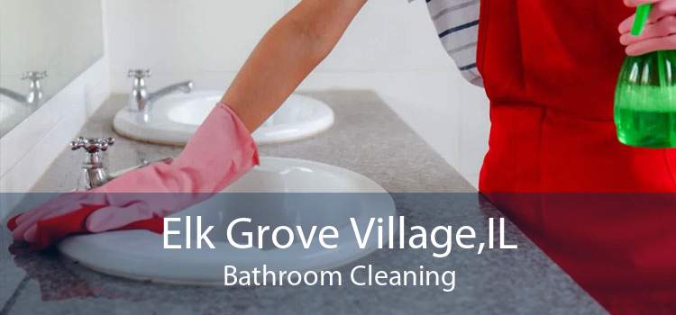 Elk Grove Village,IL Bathroom Cleaning