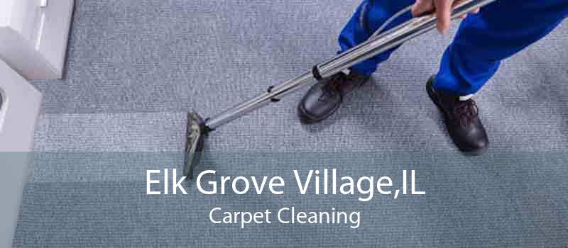 Elk Grove Village,IL Carpet Cleaning