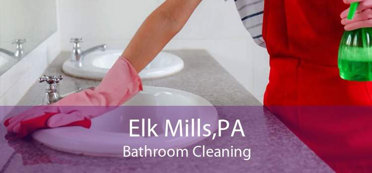 Elk Mills,PA Bathroom Cleaning