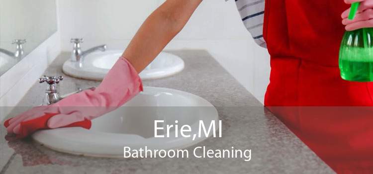 Erie,MI Bathroom Cleaning