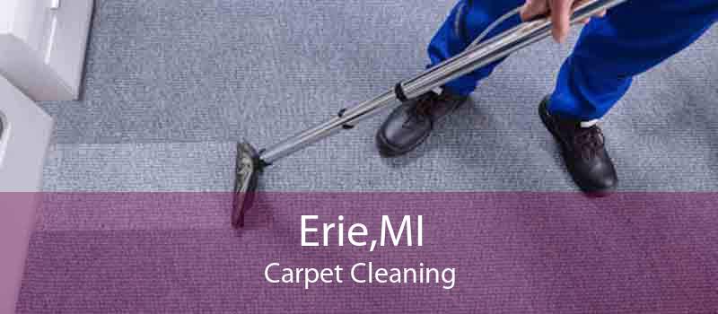 Erie,MI Carpet Cleaning