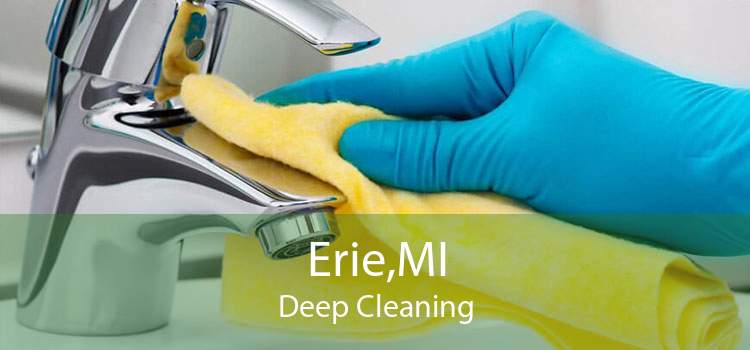 Erie,MI Deep Cleaning
