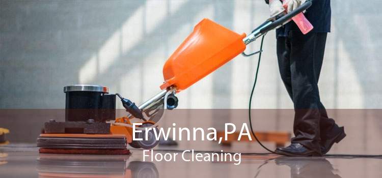 Erwinna,PA Floor Cleaning