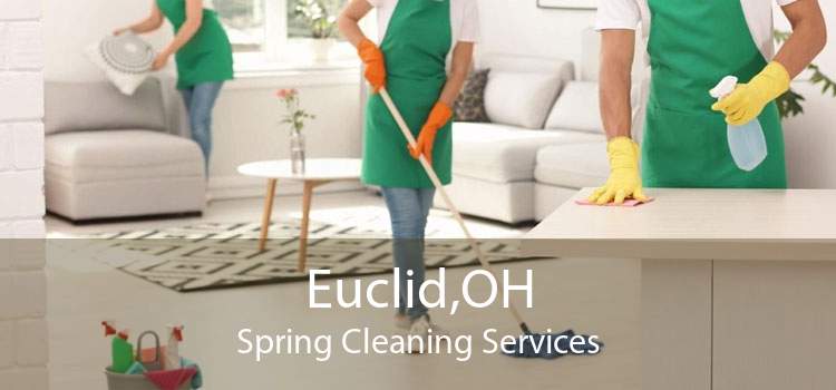 Euclid,OH Spring Cleaning Services