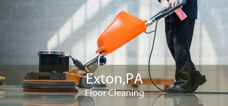 Exton,PA Floor Cleaning