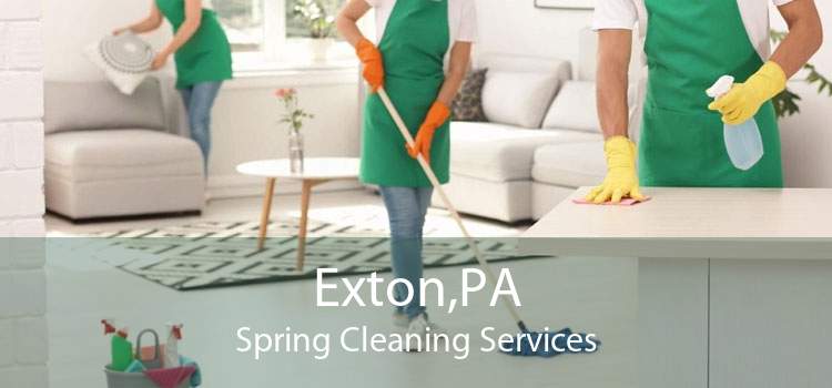 Exton,PA Spring Cleaning Services