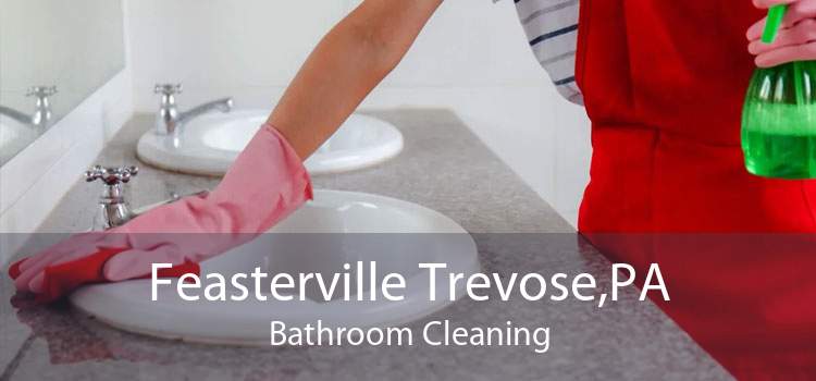 Feasterville Trevose,PA Bathroom Cleaning