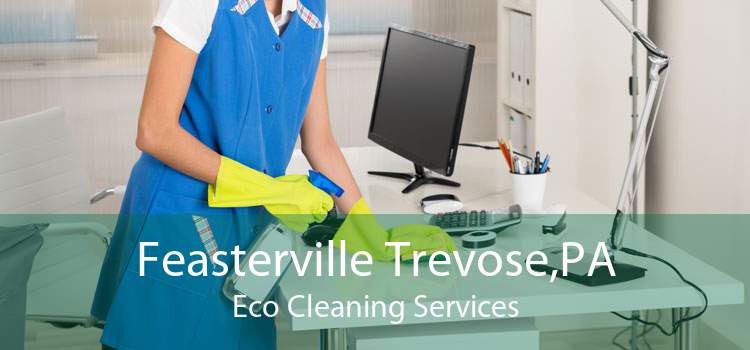 Feasterville Trevose,PA Eco Cleaning Services