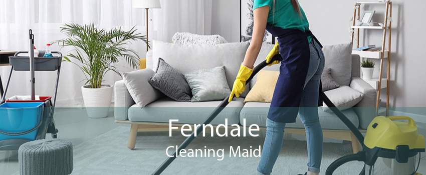 Ferndale Cleaning Maid