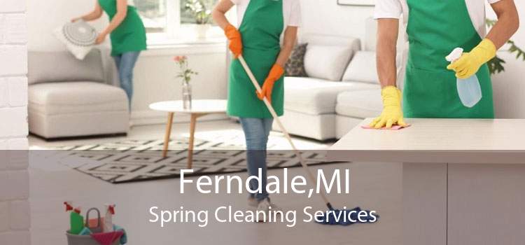 Ferndale,MI Spring Cleaning Services