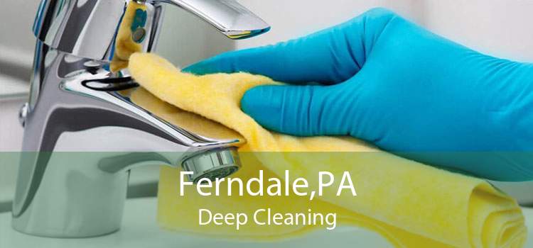 Ferndale,PA Deep Cleaning