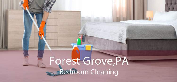 Forest Grove,PA Bedroom Cleaning