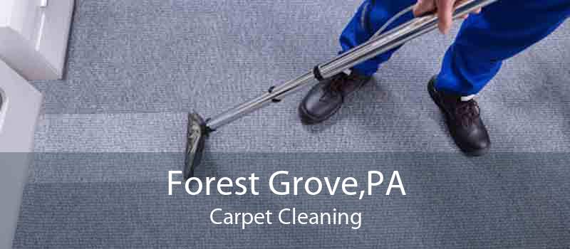 Forest Grove,PA Carpet Cleaning