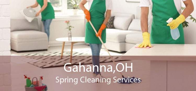 Gahanna,OH Spring Cleaning Services