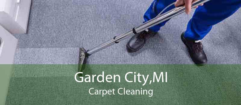 Garden City,MI Carpet Cleaning