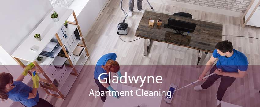 Gladwyne Apartment Cleaning