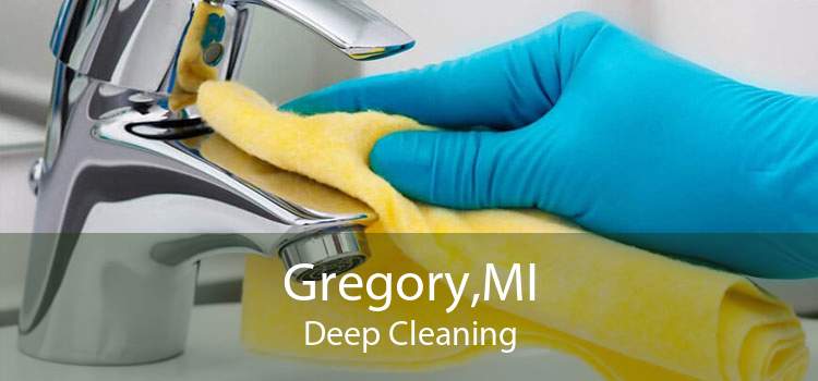 Gregory,MI Deep Cleaning