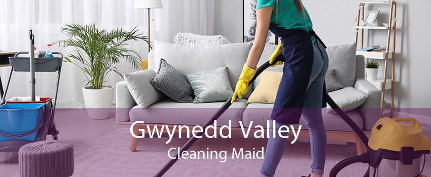 Gwynedd Valley Cleaning Maid