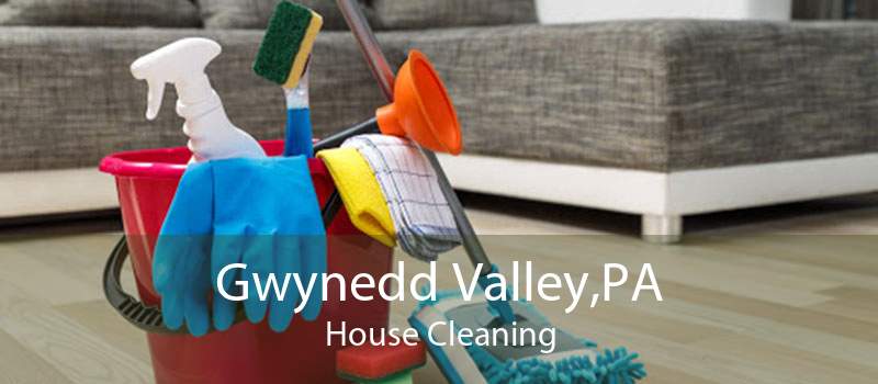 Gwynedd Valley,PA House Cleaning