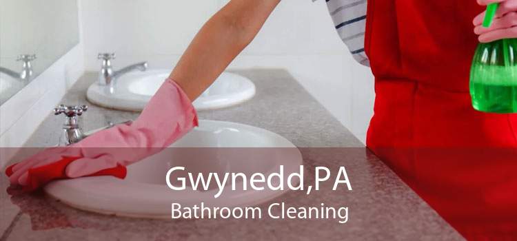 Gwynedd,PA Bathroom Cleaning