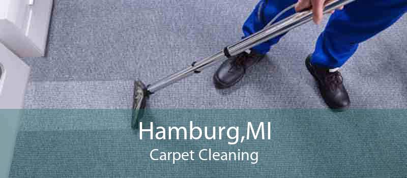 Hamburg,MI Carpet Cleaning