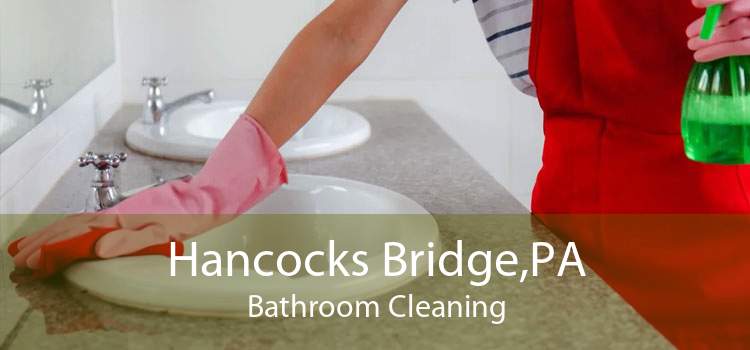 Hancocks Bridge,PA Bathroom Cleaning