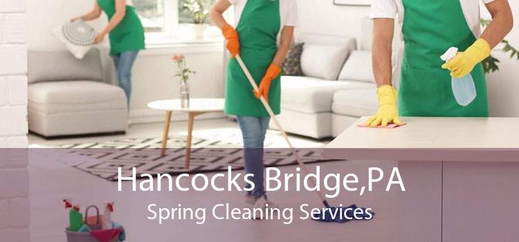 Hancocks Bridge,PA Spring Cleaning Services