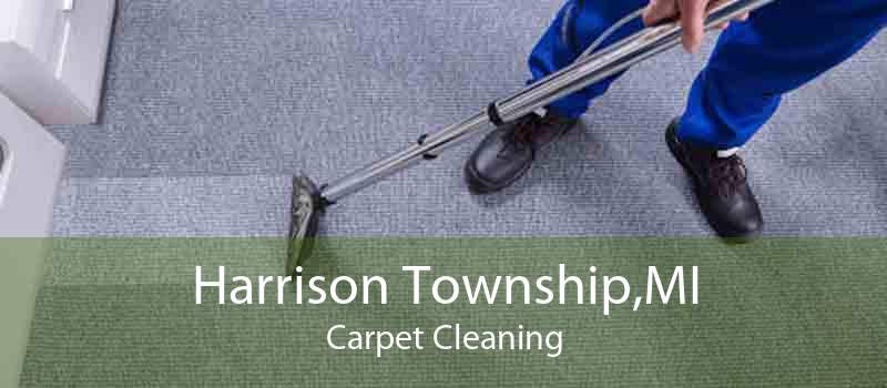 Harrison Township,MI Carpet Cleaning