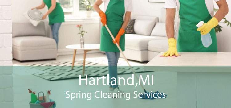 Hartland,MI Spring Cleaning Services