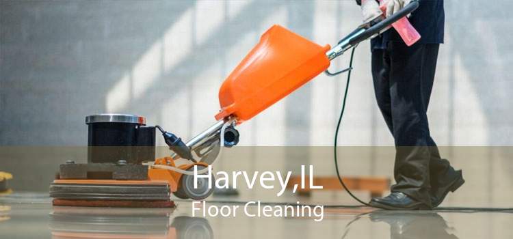 Harvey,IL Floor Cleaning