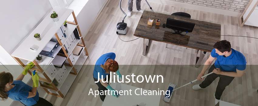 Juliustown Apartment Cleaning