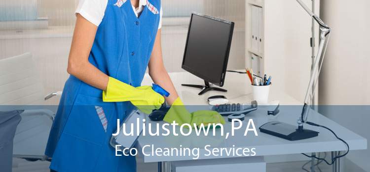 Juliustown,PA Eco Cleaning Services