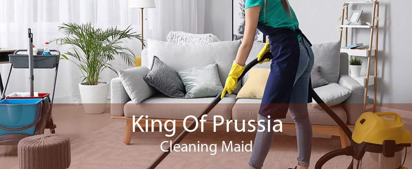 King Of Prussia Cleaning Maid
