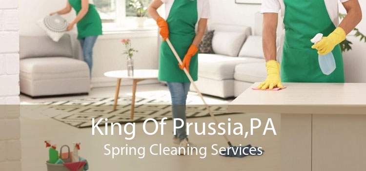 King Of Prussia,PA Spring Cleaning Services