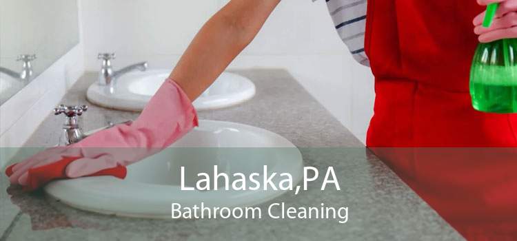 Lahaska,PA Bathroom Cleaning