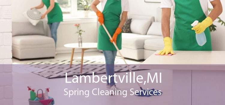 Lambertville,MI Spring Cleaning Services