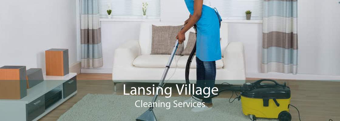 Lansing Village Cleaning Services