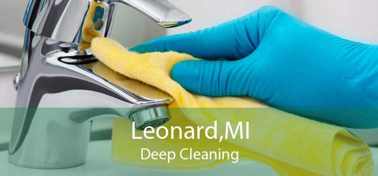 Leonard,MI Deep Cleaning