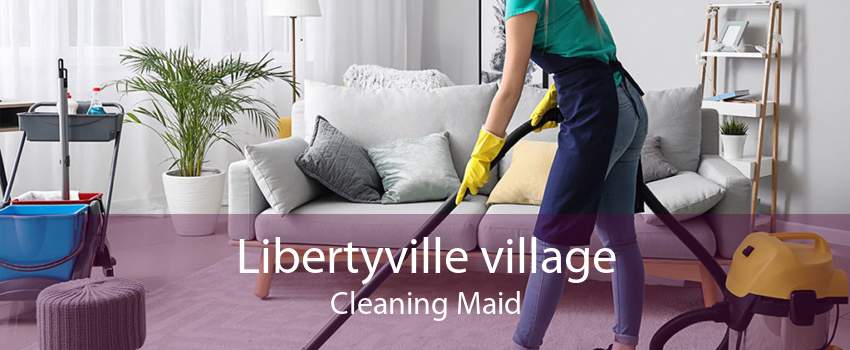 Libertyville village Cleaning Maid