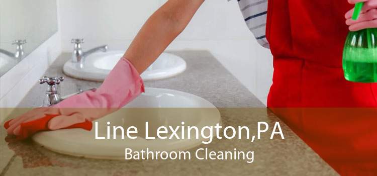 Line Lexington,PA Bathroom Cleaning