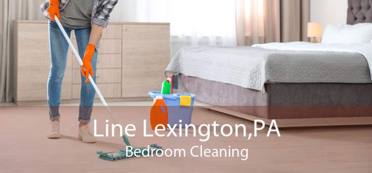 Line Lexington,PA Bedroom Cleaning
