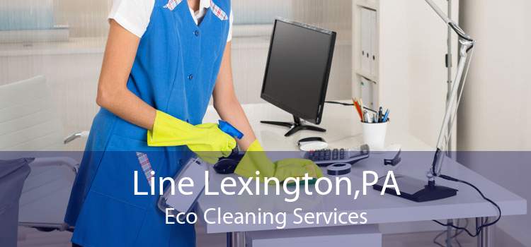 Line Lexington,PA Eco Cleaning Services