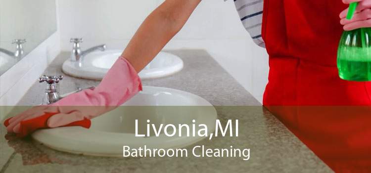 Livonia,MI Bathroom Cleaning