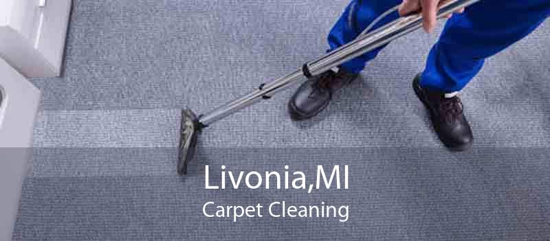 Livonia,MI Carpet Cleaning