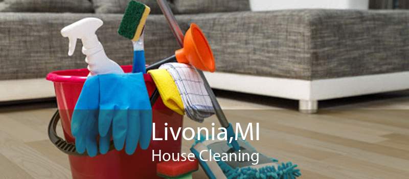 Livonia,MI House Cleaning