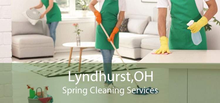 Lyndhurst,OH Spring Cleaning Services