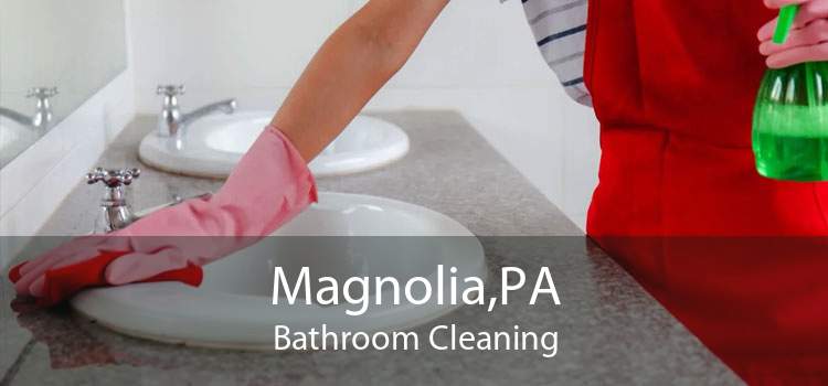 Magnolia,PA Bathroom Cleaning